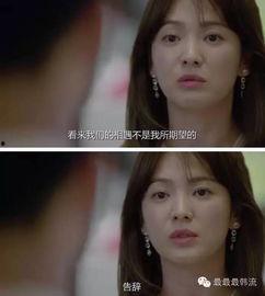 吃瓜撩妹剧,吃瓜撩妹剧的甜蜜攻略