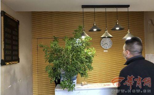 模仿酒店前台吃瓜视频,揭秘酒店内部趣闻轶事