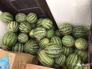 科贸吃瓜群,揭秘职场八卦背后的真实故事