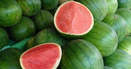 三枝吃瓜,揭秘瓜界奇闻异事