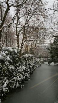 雪景拍摄吃瓜图片,冬日里的趣味瞬间