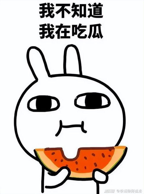 俗人吃瓜,揭秘娱乐圈背后的那些事儿