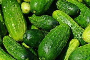 梦到自己吃瓜包瓜,瓜包瓜的奇幻美食之旅