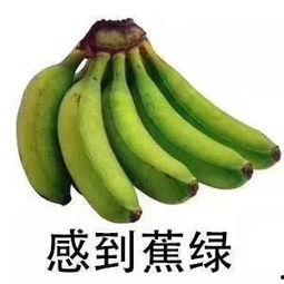 小蕉吃瓜视频,揭秘娱乐圈幕后故事