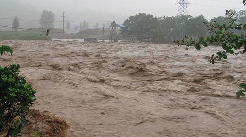 吃瓜博主讲洪水,吃瓜博主带你揭秘洪水生成背后的真相
