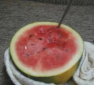 武汉奇葩吃瓜,一场别开生面的“吃瓜”盛宴