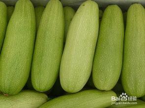 白瓜几月吃