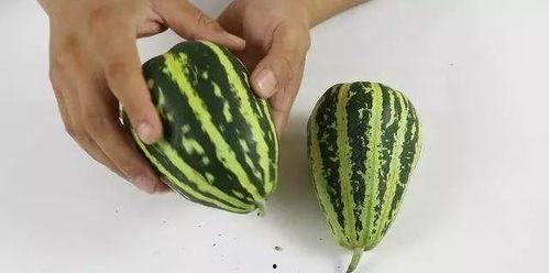 吃瓜的小妙招vlog,Vlog带你轻松享受夏日清凉