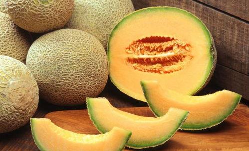 史上最喜欢吃的哈密瓜,探寻哈密瓜的甜蜜传奇