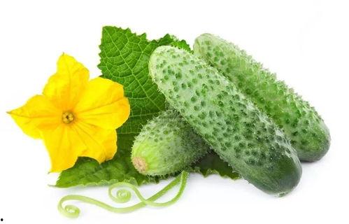 江云初吃瓜系统,揭秘娱乐圈幕后真相，带你领略明星们的真实生活