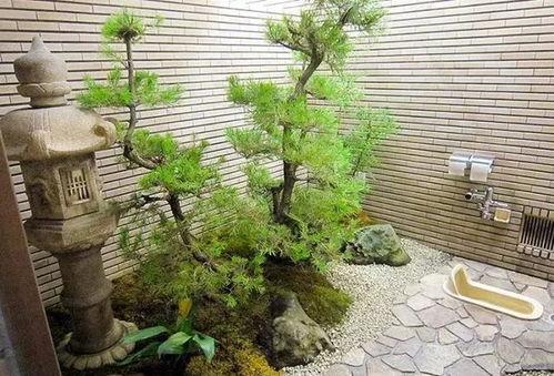 学校卫生间吃瓜,校园卫生间里的“瓜田”奇遇记