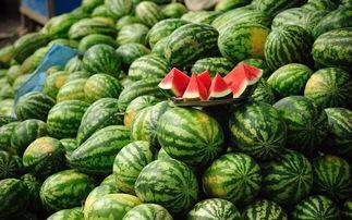 吃栗瓜会胖吗,吃栗瓜真的会让人发胖吗？揭秘栗瓜热量与减肥真相