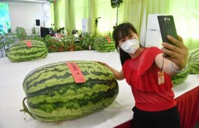 上海出差吃瓜群众,吃瓜群众的美食之旅