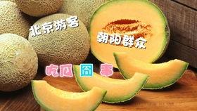 吃瓜乡,揭秘乡村里的甜蜜生活与趣味故事