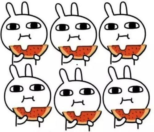 吃瓜乐迪,揭秘娱乐圈的欢乐与八卦