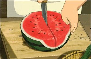 小恶魔倒水吃瓜,趣味横生的日常瞬间