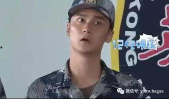 迷弟吃瓜,揭秘娱乐圈背后的那些事